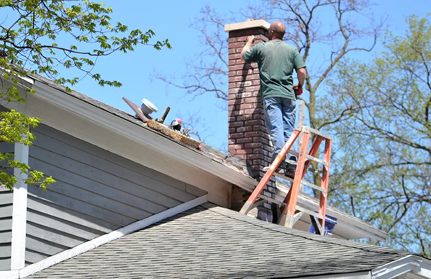 Chimney & Fireplace Inspections Services in Hinsdale, IL